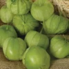 Tamayo R Hybrid Tomatillo