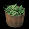 Roma II Italian Bush Bean