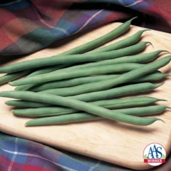 Kentucky Blue Pole Bean