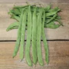 Hilda Romano Pole Bean