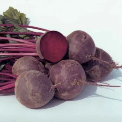 Boro Hybrid Beet