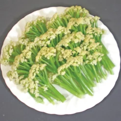 Fioretto 60 Hybrid Cauliflower