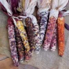 Autumn Explosion Hybrid Ornamental Corn