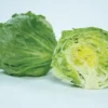 Chamisal Lettuce
