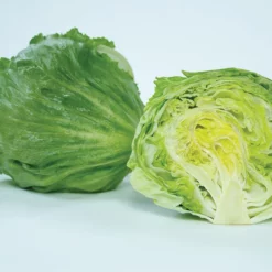 Chamisal Lettuce