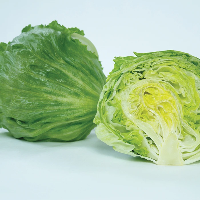 Chamisal Lettuce