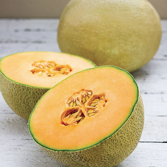 Infinite Gold Hybrid Muskmelon