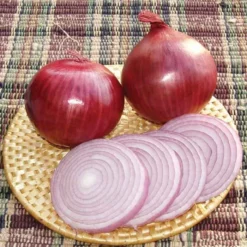 Redwing Hybrid Onion
