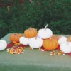 Miniature Pumpkin Offer