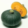 Maxima Sweet Mama Hybrid Winter Squash
