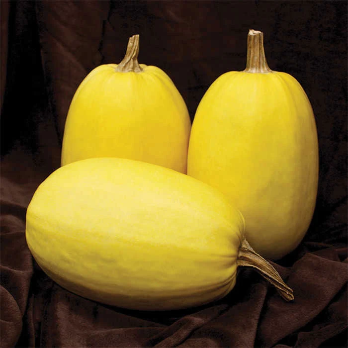 Primavera Hybrid Spaghetti Squash