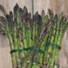 Jersey Supreme Asparagus