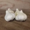 California White Garlic