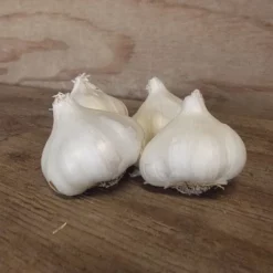 California White Garlic