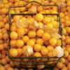 Aunt Molly's Organic Ground Cherry