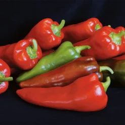 Carmen Hybrid Organic Pepper
