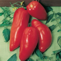 Opalka Organic Tomato