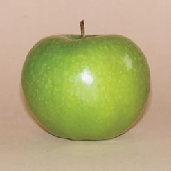 Northwestern Greening Standard Apple