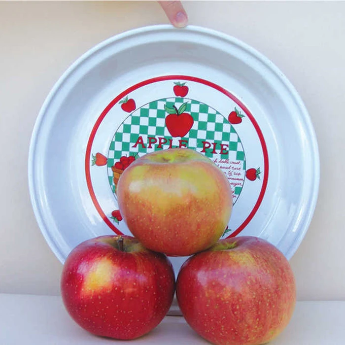 Wolf River Standard Apple