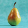 Potomac Standard Pear