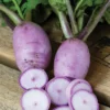 Sweet Baby Hybrid Radish